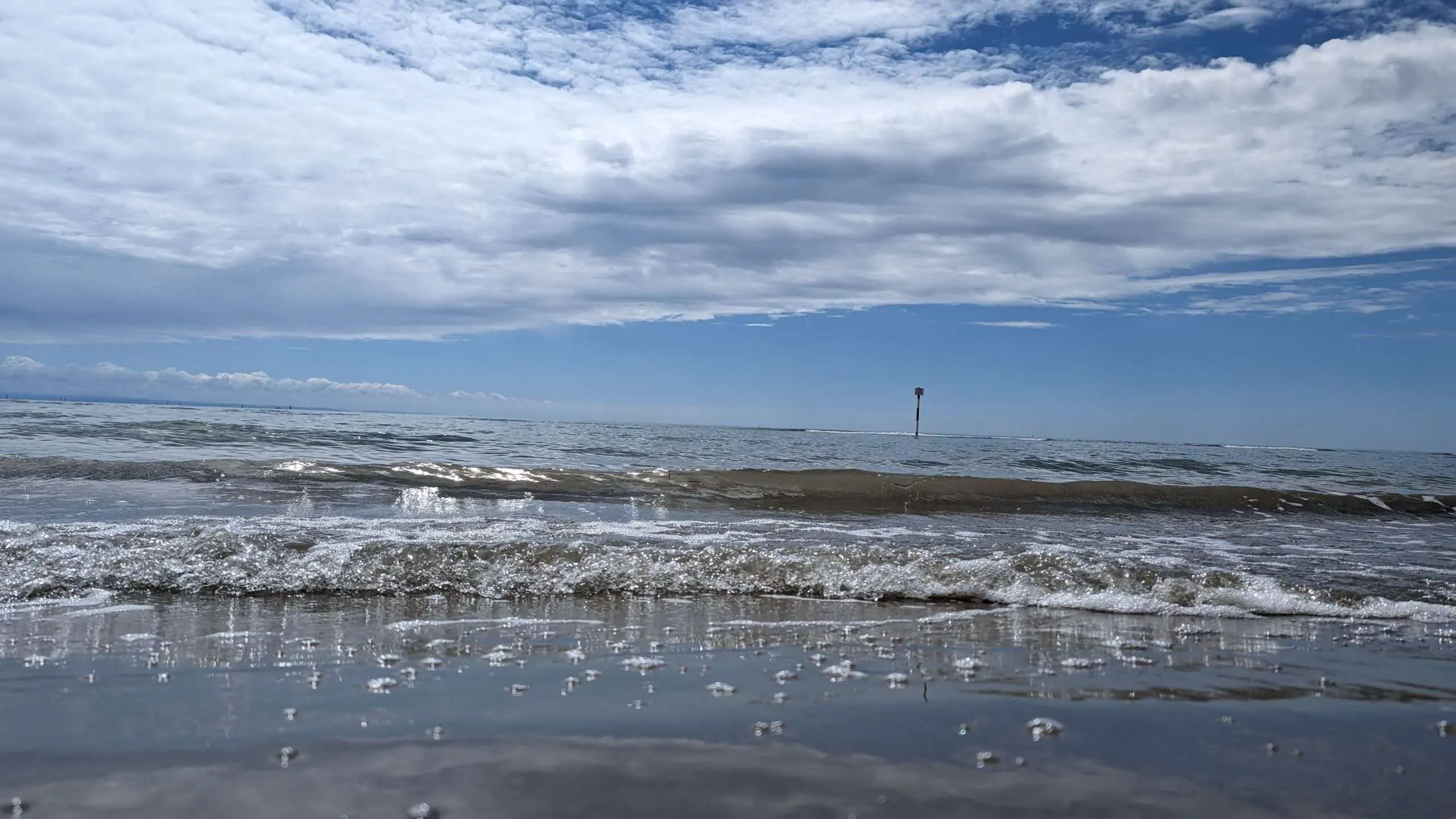 PXL_20240601_091552957